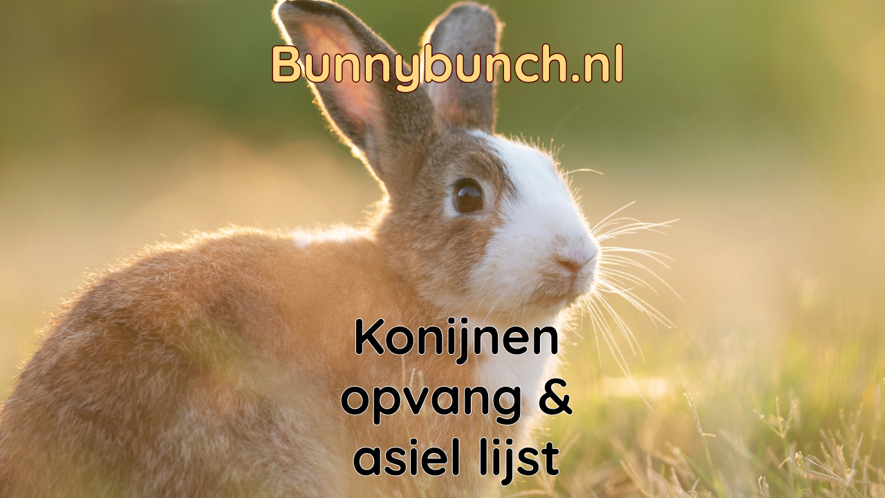 Konijnenopvang en -asiel lijst