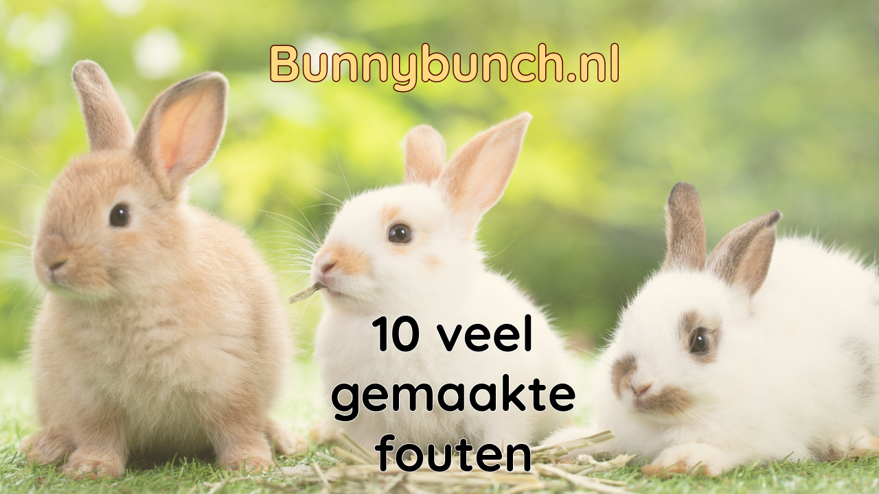 10 veel gemaakte fouten bij het houden van konijnen