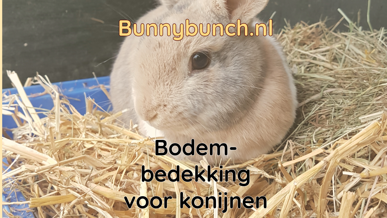 Bodembedekking voor konijnen