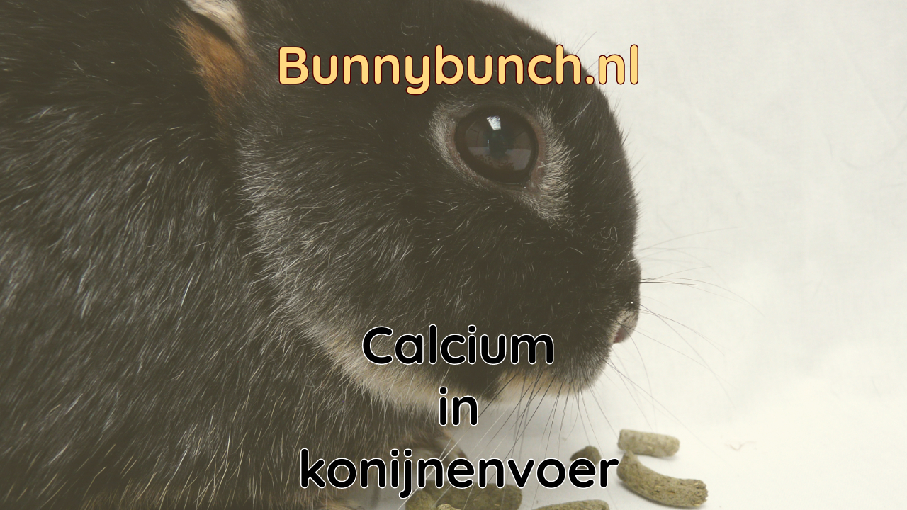 Calcium in konijnenvoer