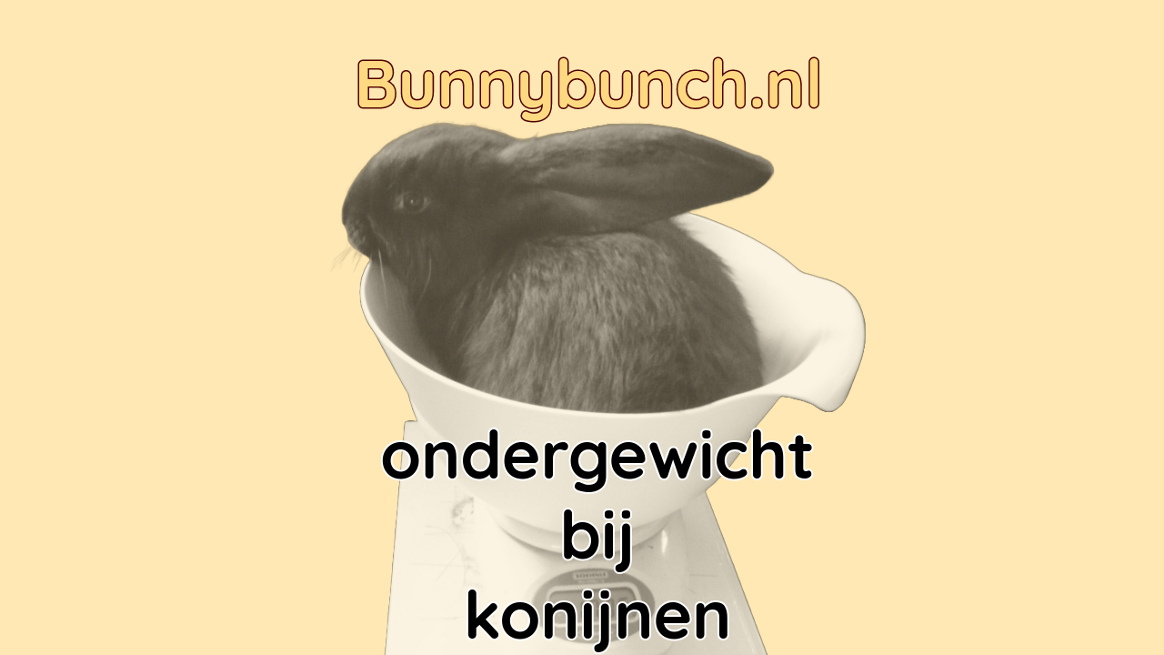 Een te dun konijn laten aankomen