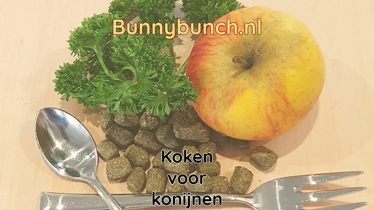 Koken voor je konijn