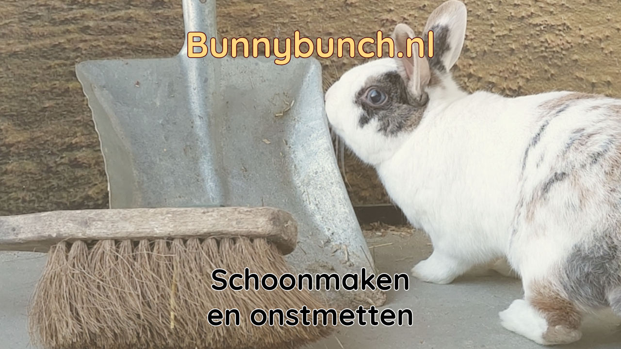 Tips voor het schoonmaken van het konijnenhok