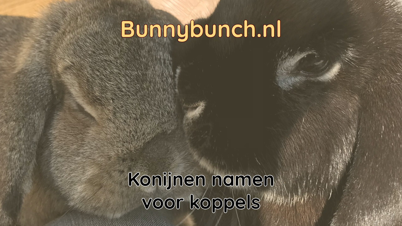 Konijnennamen voor duo’s en koppels