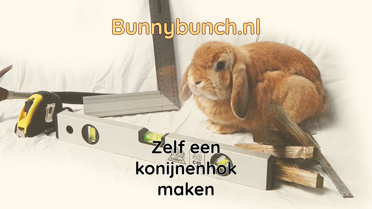 Konijnenhok zelf maken