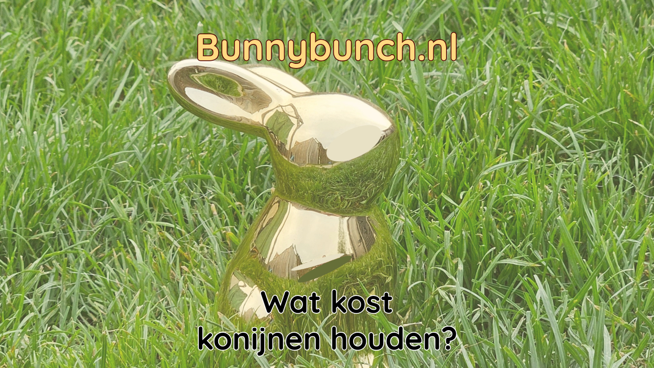 Wat kost een konijn?