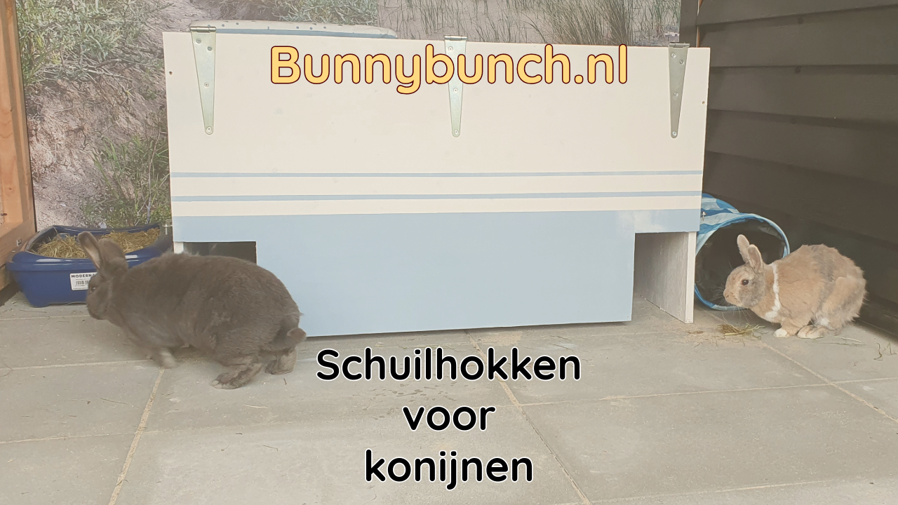 Schuilhokken voor konijnen