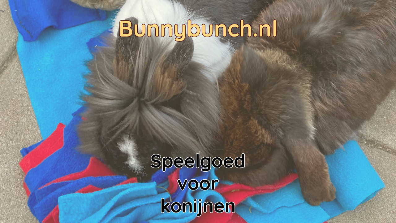 Speelgoed voor konijnen