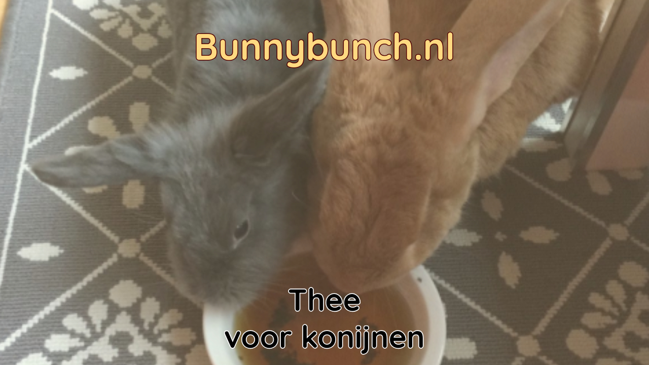 Thee voor konijnen