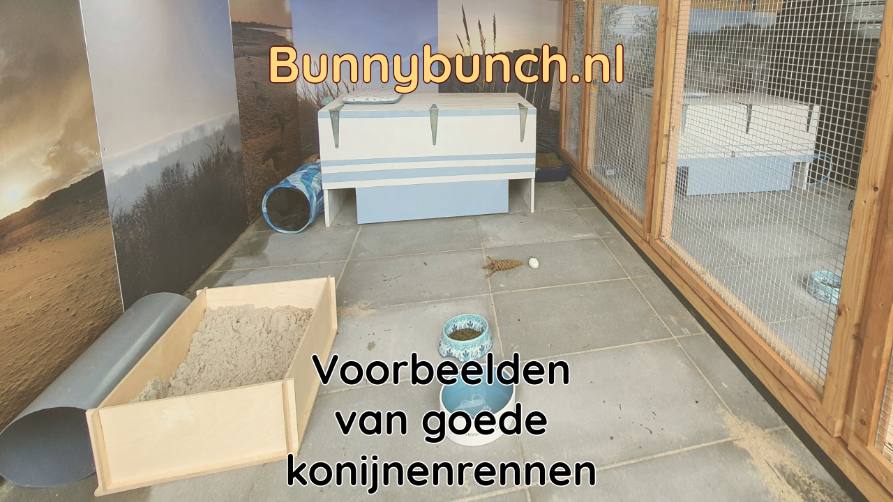 Voorbeelden van goede konijnenrennen