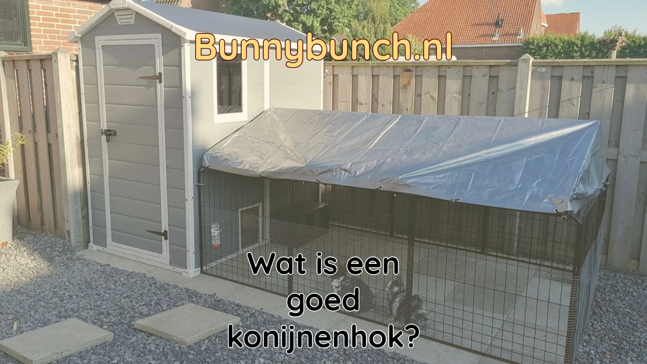 Waar op letten bij het kopen of maken van een konijnenhok?